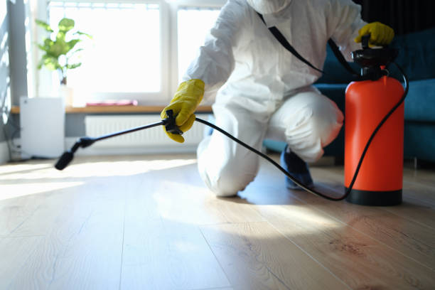 Reliable Odor Removal contractor in Sultana, CA by Dulley Family Biohazard Services